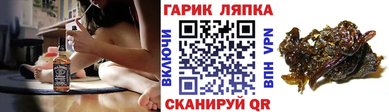 мега как войти купить наркотик Киселёвск Гашиш 40% ТГК