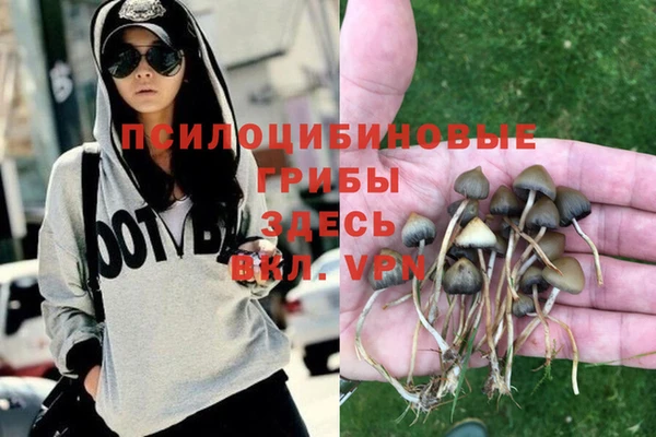jwh Нязепетровск