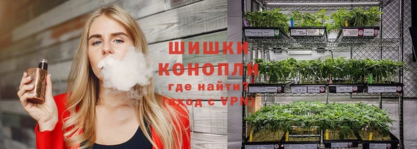 сатива Нягань