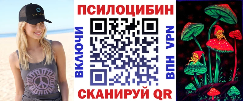 Псилоцибиновые грибы Cubensis  omg маркетплейс  Киселёвск  закладки 