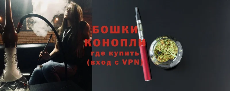 Шишки марихуана план  хочу наркоту  Киселёвск 